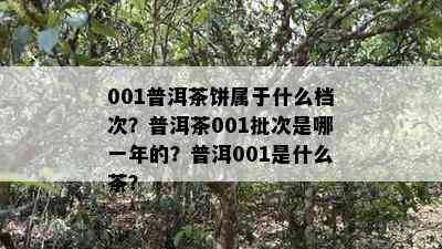 001普洱茶饼属于什么档次？普洱茶001批次是哪一年的？普洱001是什么茶？