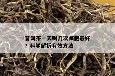 普洱茶一天喝几次减肥更好？科学解析有效方法