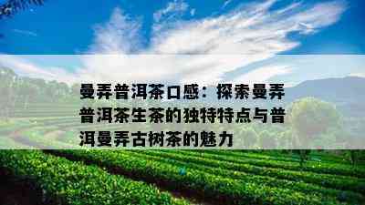 曼弄普洱茶口感：探索曼弄普洱茶生茶的独特特点与普洱曼弄古树茶的魅力