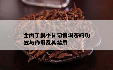 全面熟悉小甘菊普洱茶的功效与作用及其禁忌