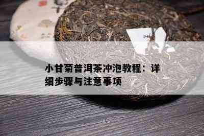 小甘菊普洱茶冲泡教程：详细步骤与留意事项