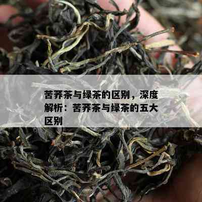 苦荞茶与绿茶的区别，深度解析：苦荞茶与绿茶的五大区别