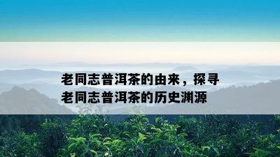 老同志普洱茶的由来，探寻老同志普洱茶的历史渊源