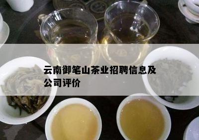 云南御笔山茶业招聘信息及公司评价