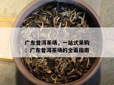 广东普洱茶场，一站式采购：广东普洱茶场的全面指南