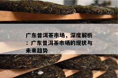 广东普洱茶市场，深度解析：广东普洱茶市场的现状与未来趋势