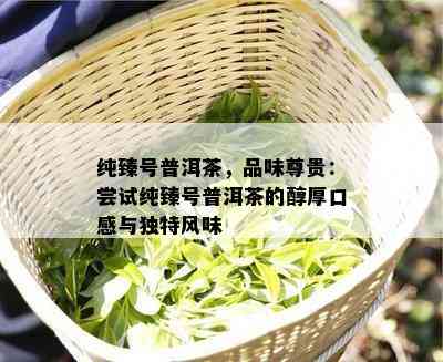 纯臻号普洱茶，品味尊贵：尝试纯臻号普洱茶的醇厚口感与独特风味