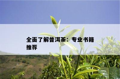 全面了解普洱茶：专业书籍推荐