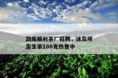 勐库顺利茶厂招聘，冰岛坝歪生茶100克热售中