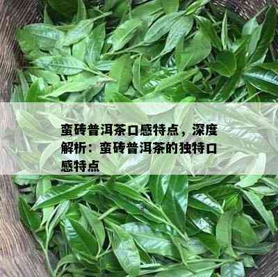 蛮砖普洱茶口感特点，深度解析：蛮砖普洱茶的独特口感特点