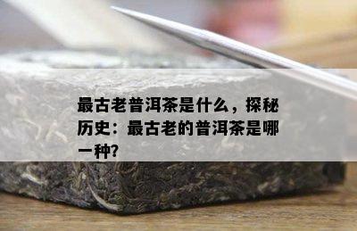 最古老普洱茶是什么，探秘历史：最古老的普洱茶是哪一种？