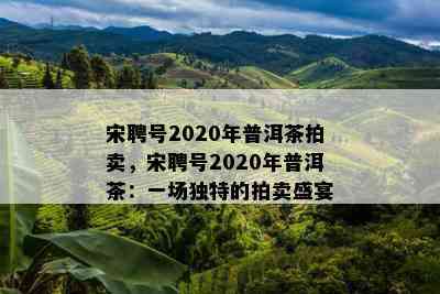 宋聘号2020年普洱茶拍卖，宋聘号2020年普洱茶：一场独特的拍卖盛宴