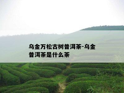 乌金万松古树普洱茶-乌金普洱茶是什么茶