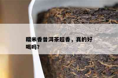 糯米香普洱茶超香，真的好喝吗？