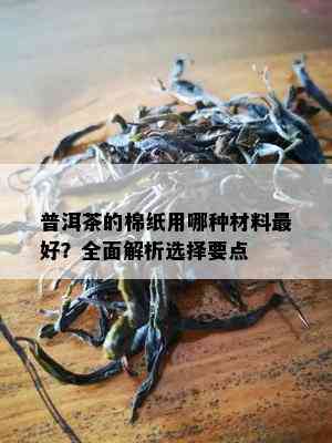 普洱茶的棉纸用哪种材料更好？全面解析选择要点