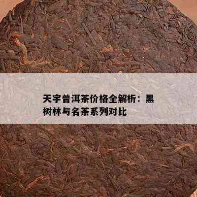 天宇普洱茶价格全解析：黑树林与名茶系列对比