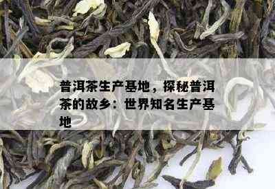 普洱茶生产基地，探秘普洱茶的故乡：世界知名生产基地