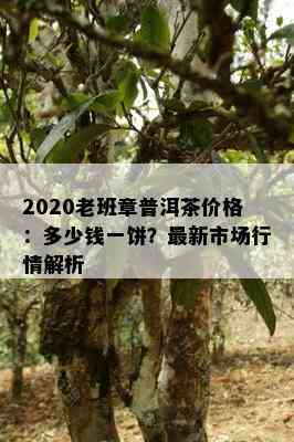 2020老班章普洱茶价格：多少钱一饼？最新市场行情解析