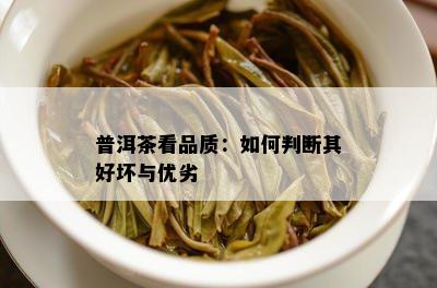 普洱茶看品质：如何判断其好坏与优劣