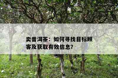 卖普洱茶：如何寻找目标顾客及获取有效信息？