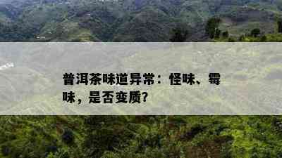 普洱茶味道异常：怪味、霉味，是不是变质？