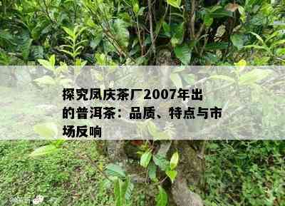 探究凤庆茶厂2007年出的普洱茶：品质、特点与市场反响