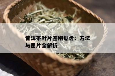 普洱茶叶片鉴别锯齿：方法与图片全解析