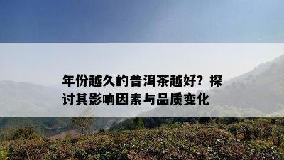 年份越久的普洱茶越好？探讨其影响因素与品质变化