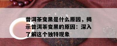 普洱茶变黑是什么原因，揭示普洱茶变黑的原因：深入了解这个独特现象