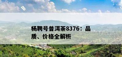 杨聘号普洱茶8376：品质、价格全解析