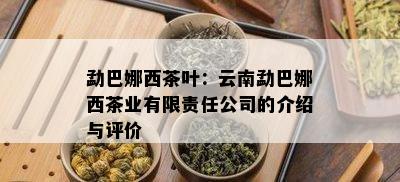 勐巴娜西茶叶：云南勐巴娜西茶业有限责任公司的介绍与评价