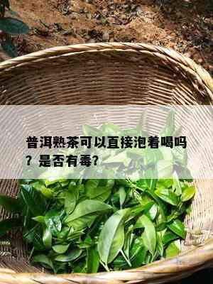 普洱熟茶可以直接泡着喝吗？是不是有？