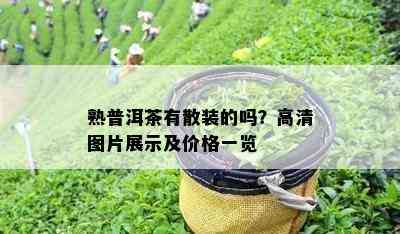 熟普洱茶有散装的吗？高清图片展示及价格一览