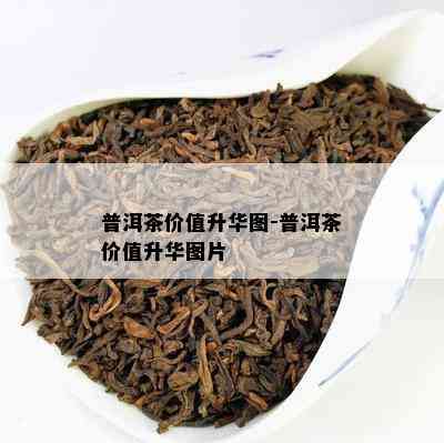 普洱茶价值升华图-普洱茶价值升华图片