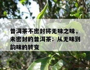 普洱茶不密封将无味之味，未密封的普洱茶：从无味到韵味的转变