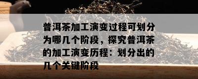 普洱茶加工演变过程可划分为哪几个阶段，探究普洱茶的加工演变历程：划分出的几个关键阶段