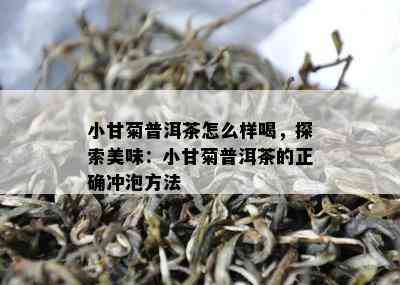 小甘菊普洱茶怎么样喝，探索美味：小甘菊普洱茶的正确冲泡方法