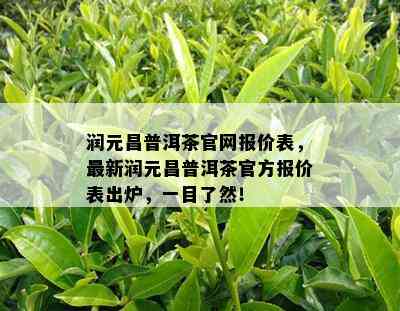 润元昌普洱茶官网报价表，最新润元昌普洱茶官方报价表出炉，一目了然！