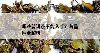 哪些普洱茶不能入手？与品种全解析