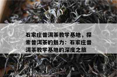 石家庄普洱茶教学基地，探索普洱茶的魅力：石家庄普洱茶教学基地的深度之旅