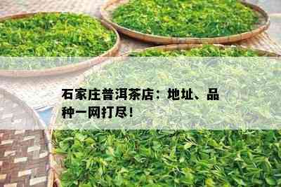 石家庄普洱茶店：地址、品种一网打尽！