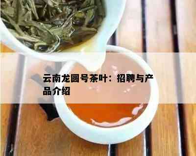 云南龙圆号茶叶：招聘与产品介绍