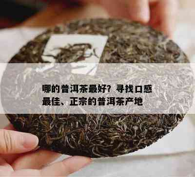 哪的普洱茶更好？寻找口感更佳、正宗的普洱茶产地