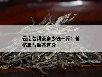 云南普洱茶多少钱一斤：价格表与熟茶区分