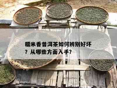 糯米香普洱茶如何辨别好坏？从哪些方面入手？