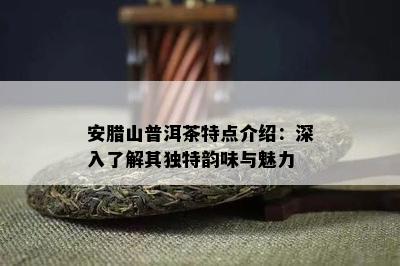 安腊山普洱茶特点介绍：深入了解其独特韵味与魅力