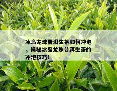 冰岛龙珠普洱生茶怎样冲泡，揭秘冰岛龙珠普洱生茶的冲泡技巧！