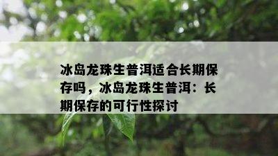 冰岛龙珠生普洱适合长期保存吗，冰岛龙珠生普洱：长期保存的可行性探讨