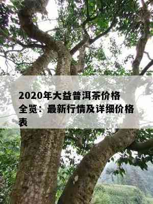 2020年大益普洱茶价格全览：最新行情及详细价格表