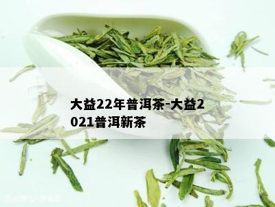 大益22年普洱茶-大益2021普洱新茶